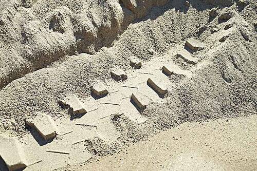 Sand kies kronwid